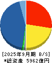 マクニカホールディングス 貸借対照表 2025年9月期
