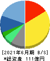 インテリジェント　ウェイブ 貸借対照表 2021年6月期