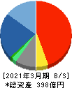 昭和ホールディングス 貸借対照表 2021年3月期