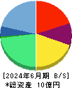 ＧＶＡ　ＴＥＣＨ 貸借対照表 2024年6月期