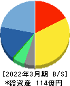ビジネスエンジニアリング 貸借対照表 2022年3月期 ビジネスエンジニアリング 貸借対照表 2022年3月期