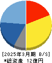 Ｒｅｃｏｖｅｒｙ　Ｉｎｔｅｒｎａｔｉｏｎａｌ 貸借対照表 2025年3月期
