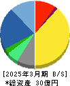 シリウスビジョン 貸借対照表 2025年3月期