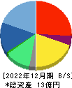 ネオマーケティング 貸借対照表 2022年12月期