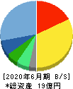 データホライゾン 貸借対照表 2020年6月期 データホライゾン 貸借対照表 2020年6月期