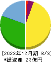 ＲＩＳＥ 貸借対照表 2023年12月期