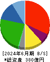 サニックス 貸借対照表 2024年6月期