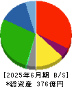 サニックスホールディングス 貸借対照表 2025年6月期