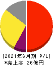 日本情報クリエイト 損益計算書 2021年6月期