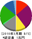 東急不動産 貸借対照表 2010年3月期