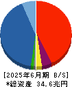 大和証券グループ本社 貸借対照表 2025年6月期
