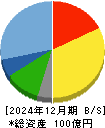 ヴィス 貸借対照表 2024年12月期