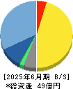 システムソフト 貸借対照表 2025年6月期
