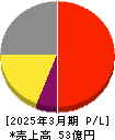 カイノス 損益計算書 2025年3月期 カイノス 損益計算書 2025年3月期