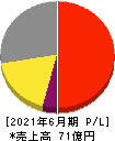 ブレインパッド 損益計算書 2021年6月期
