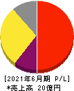 アイキューブドシステムズ 損益計算書 2021年6月期 アイキューブドシステムズ 損益計算書 2021年6月期