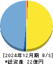 Veritas In Silico 貸借対照表 2024年12月期 Veritas In Silico 貸借対照表 2024年12月期