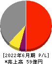 サイタホールディングス 損益計算書 2022年6月期