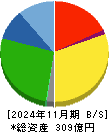 ピックルスホールディングス 貸借対照表 2024年11月期