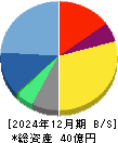 アライドアーキテクツ 貸借対照表 2024年12月期 アライドアーキテクツ 貸借対照表 2024年12月期