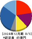 キッズウェル・バイオ 貸借対照表 2024年12月期