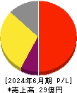 アイキューブドシステムズ 損益計算書 2024年6月期 アイキューブドシステムズ 損益計算書 2024年6月期