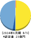 Veritas In Silico 貸借対照表 2024年6月期 Veritas In Silico 貸借対照表 2024年6月期