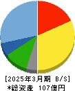 ヴィス 貸借対照表 2025年3月期 ヴィス 貸借対照表 2025年3月期