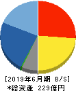 西川計測 貸借対照表 2019年6月期