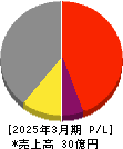 フライトソリューションズ 損益計算書 2025年3月期 フライトソリューションズ 損益計算書 2025年3月期