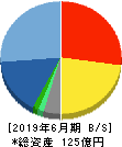 DNホールディングス 貸借対照表 2019年6月期 DNホールディングス 貸借対照表 2019年6月期