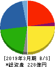 田岡化学工業 貸借対照表 2019年3月期