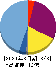 キャンバス 貸借対照表 2021年6月期 キャンバス 貸借対照表 2021年6月期