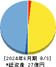 ケイファーマ 貸借対照表 2024年6月期
