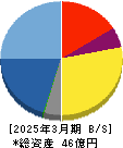 テックファームホールディングス 貸借対照表 2025年3月期
