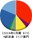 東洋エンジニアリング 貸借対照表 2024年6月期
