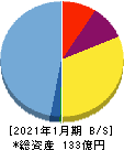 サンバイオ 貸借対照表 2021年1月期 サンバイオ 貸借対照表 2021年1月期