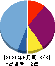 キャンバス 貸借対照表 2020年6月期 キャンバス 貸借対照表 2020年6月期