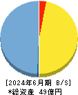 サスメド 貸借対照表 2024年6月期 サスメド 貸借対照表 2024年6月期