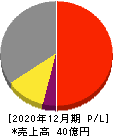 ソフトマックス 損益計算書 2020年12月期 ソフトマックス 損益計算書 2020年12月期