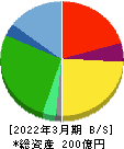 ミダックホールディングス 貸借対照表 2022年3月期 ミダックホールディングス 貸借対照表 2022年3月期