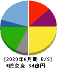 NATTY SWANKYホールディングス 貸借対照表 2020年6月期 NATTY SWANKYホールディングス 貸借対照表 2020年6月期