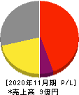 CaSy 損益計算書 2020年11月期 CaSy 損益計算書 2020年11月期
