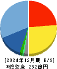 ソリトンシステムズ 貸借対照表 2024年12月期