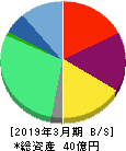 セルム 貸借対照表 2019年3月期 セルム 貸借対照表 2019年3月期