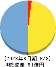 サスメド 貸借対照表 2023年6月期 サスメド 貸借対照表 2023年6月期