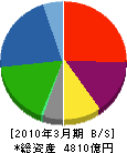 日本軽金属 貸借対照表 2010年3月期