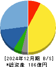 ヘリオス　テクノ　ホールディング 貸借対照表 2024年12月期