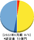 手間いらず 貸借対照表 2022年6月期