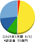 トライアイズ 貸借対照表 2025年3月期